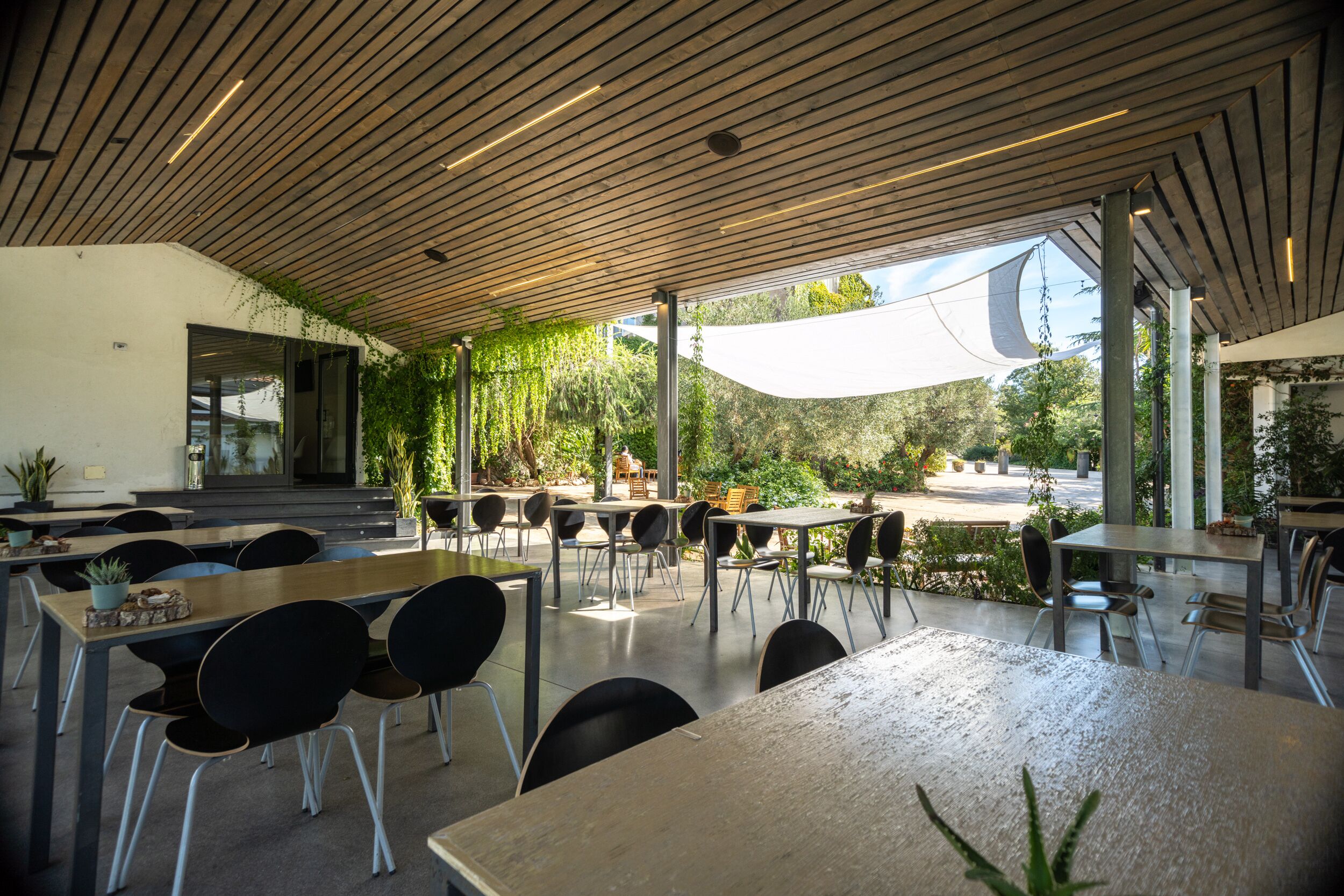 An outdoor dining area with tables and chairs, a wooden ceiling, and a view of the street and greenery.