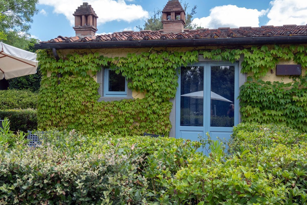 A house with ivy-covered walls, a blue window, and a bell tower.