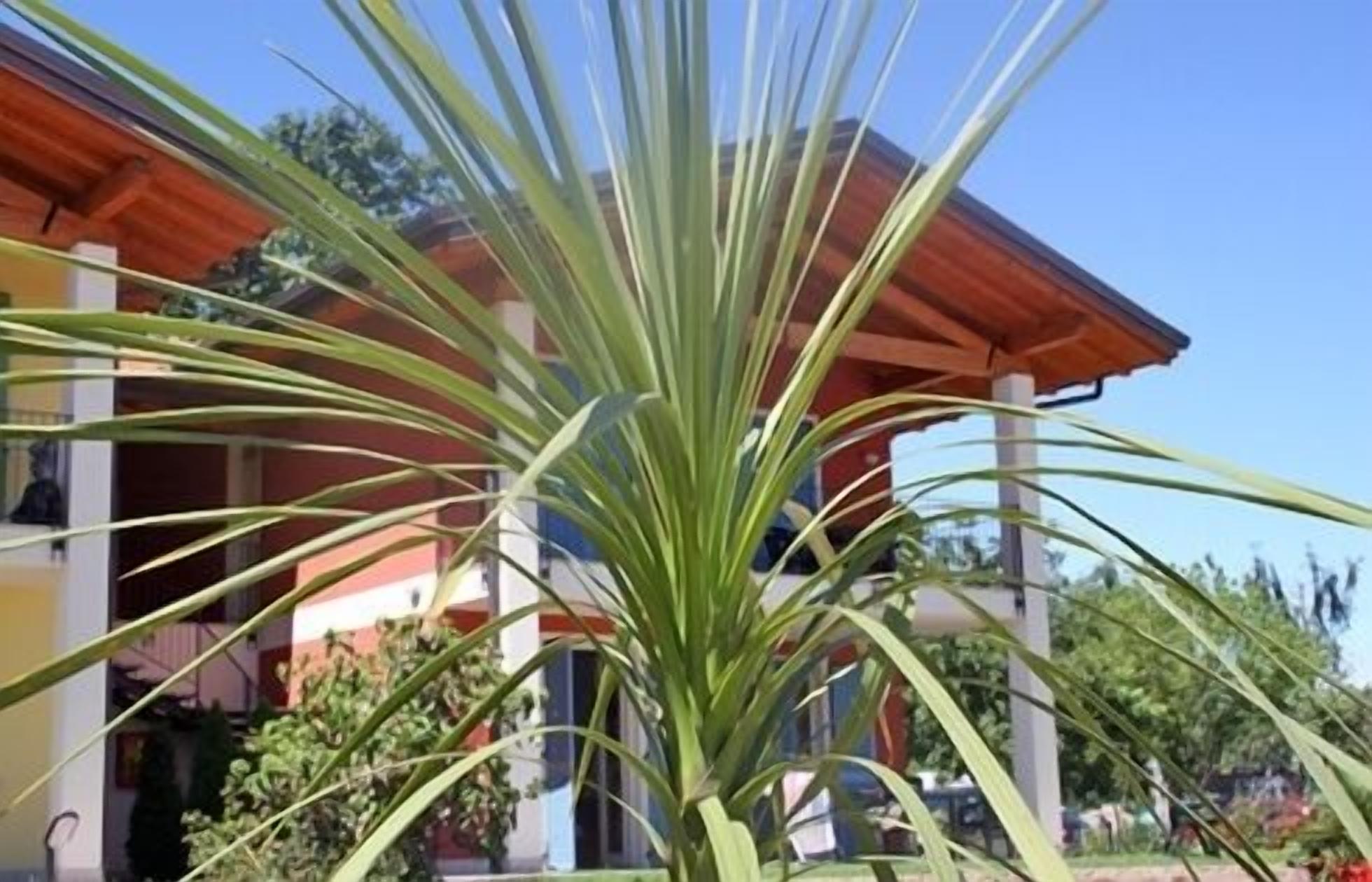 A house with a red roof and a green plant in the foreground.