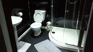 A compact bathroom with a toilet, sink, and glass-enclosed shower. - The Vyvyan Arms Hotel (Camborne)