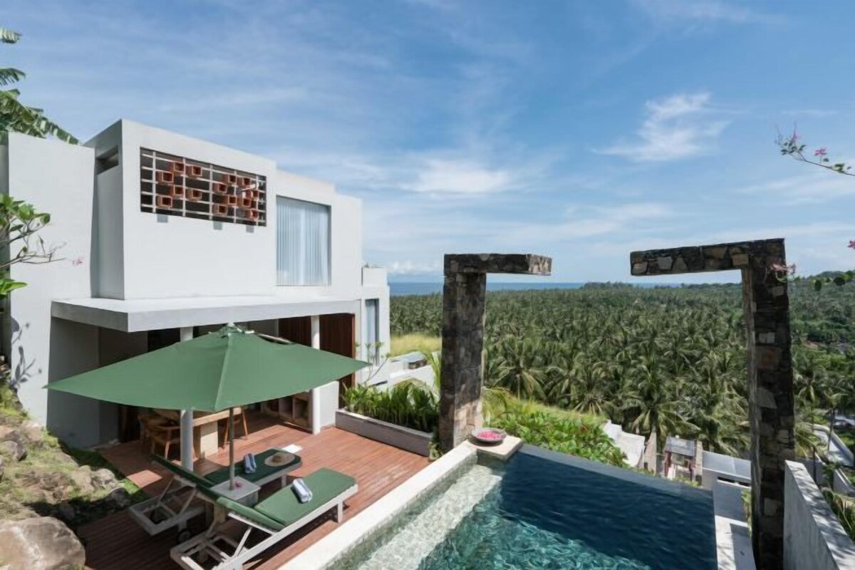 A modern villa with a pool, a covered outdoor seating area, and a view of a dense palm forest.