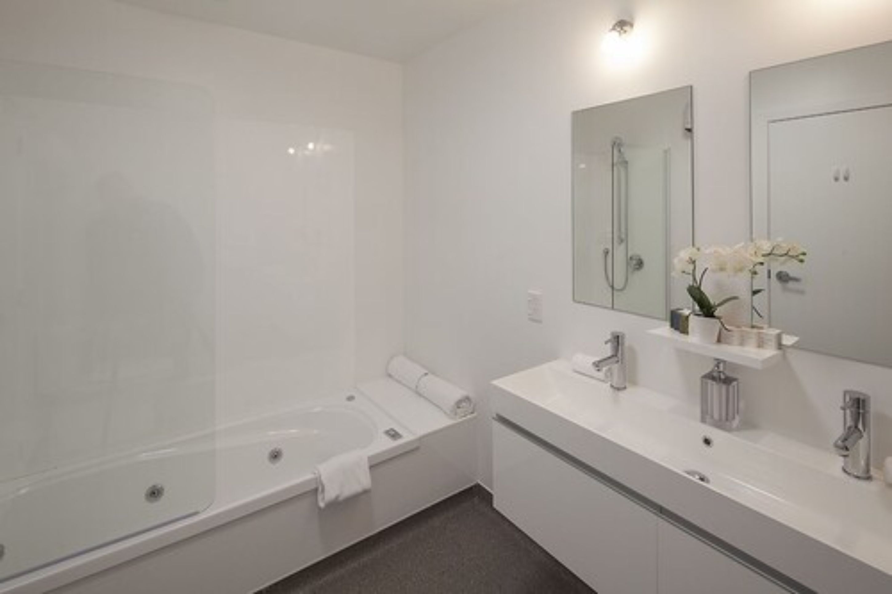 Une salle de bain moderne avec une douche à parois de verre, un lavabo blanc avec un miroir et une petite étagère ornée d’une plante.