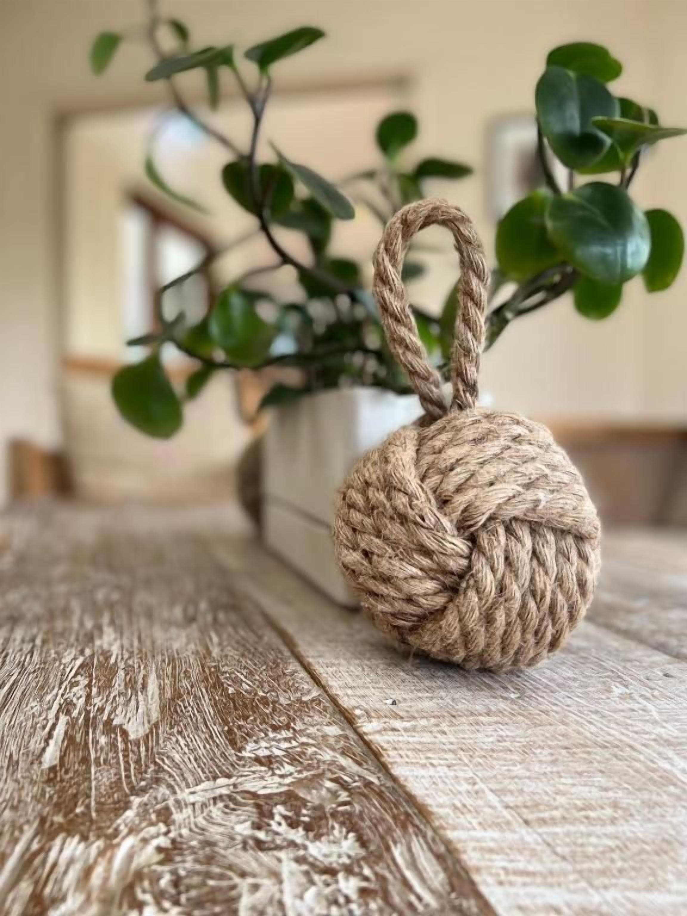 A rustic wooden surface with a rope ball ornament and a potted plant with green leaves.