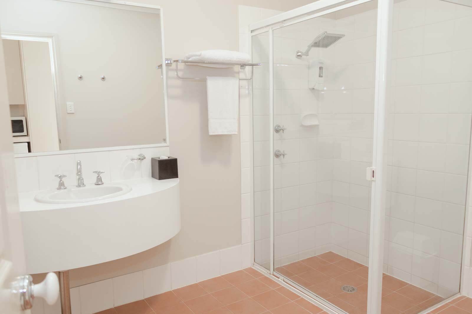 A modern bathroom with a white sink, mirror, and glass-enclosed shower.