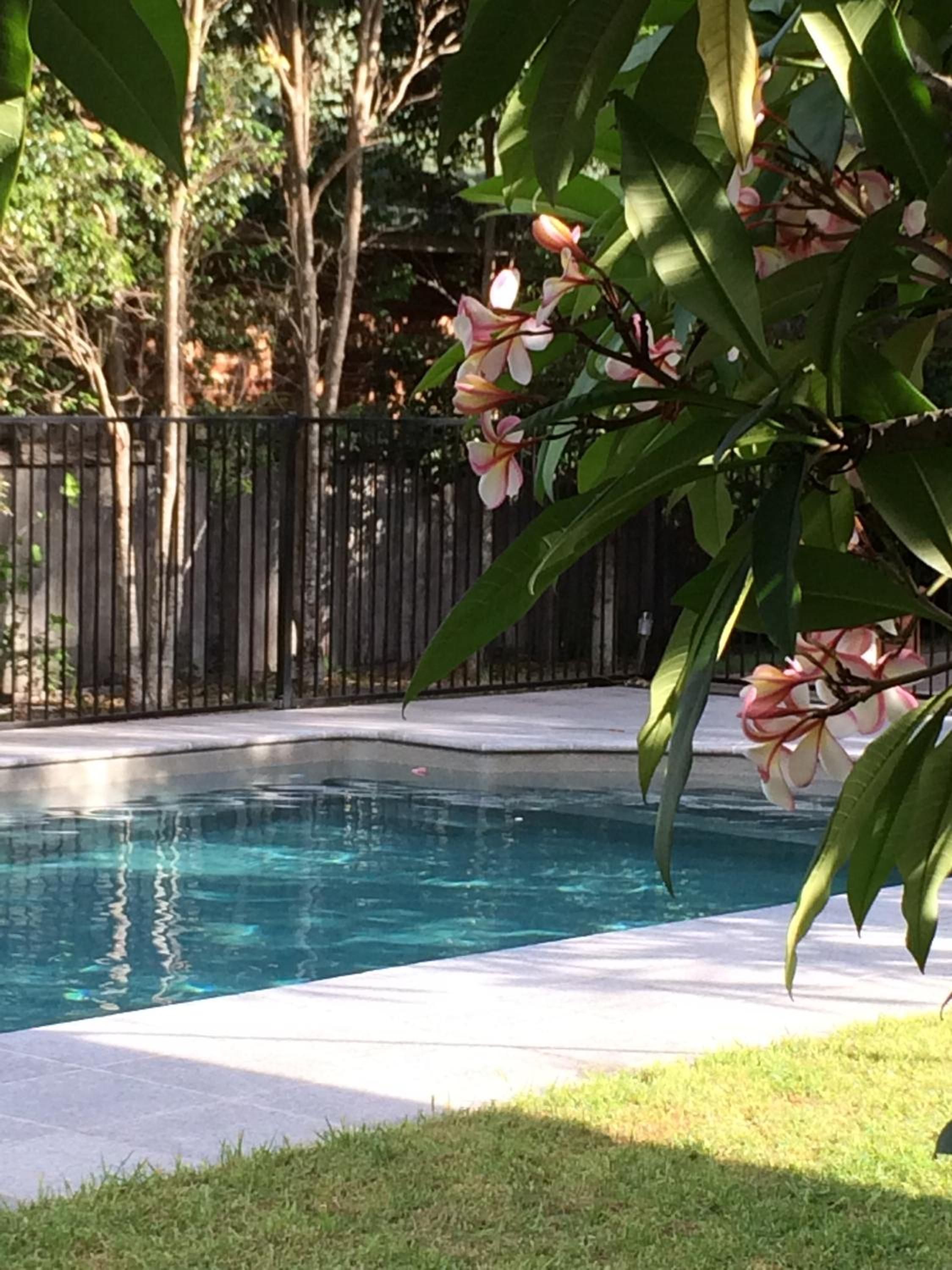 A swimming pool with a wooden fence in the background.