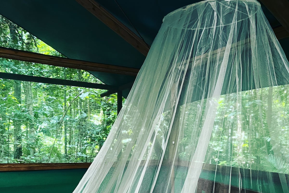 1 bedroom, bed sheets