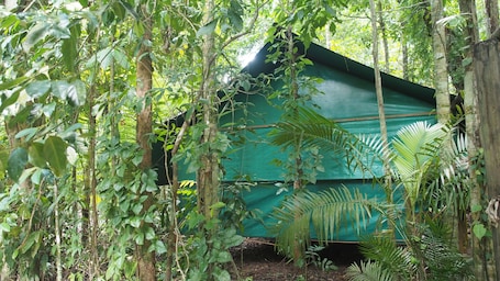 Family Room (Safari Hut) | Property grounds