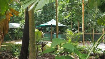 Escape to a serene oasis surrounded by lush tropical plants and a tranquil water feature.