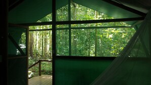 A room with a large window overlooking a dense forest. - Daintree Crocodylus (Cow Bay)