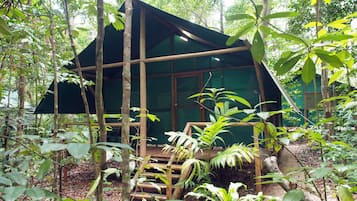 Family Room, Multiple Beds (Rainforest Bungalow)