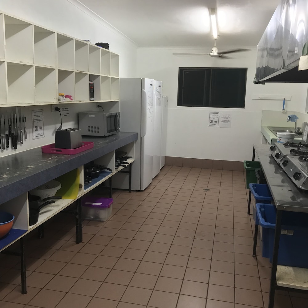 Daintree Crocodylus by null