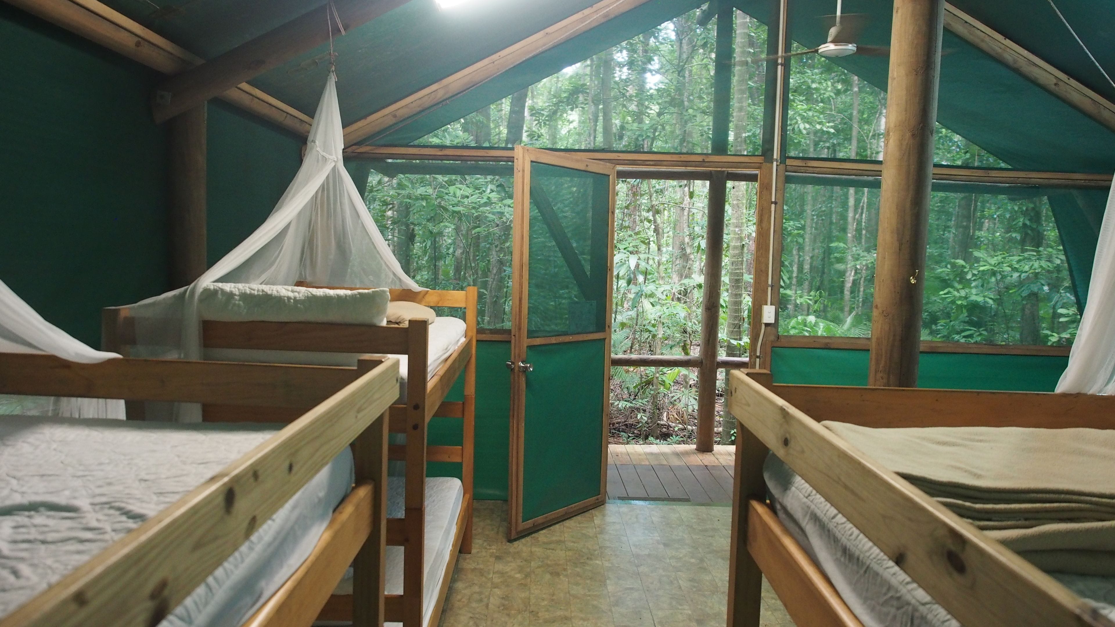 Une cabane avec des lits superposés en bois, une moustiquaire et une vue sur la forêt grâce à de grandes fenêtres.