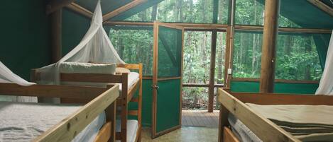 Une cabane avec des lits superposés en bois, une moustiquaire et une vue sur la forêt grâce à de grandes fenêtres.