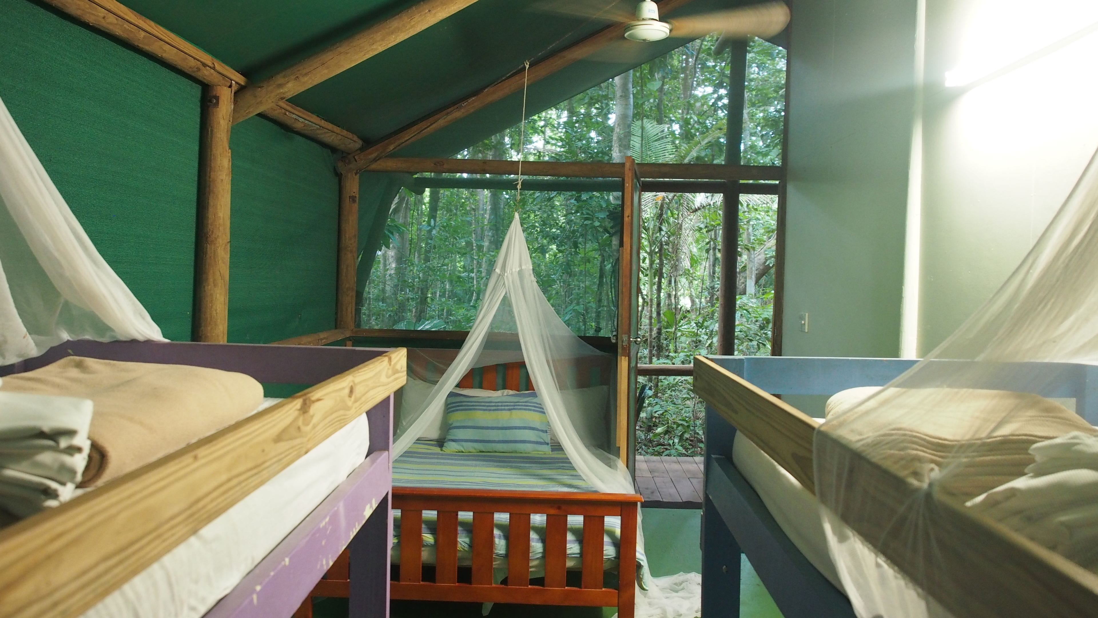 Una cabana rústica amb dos llits de fusta superposats, una mosquiteria i una finestra gran que dona a un bosc.