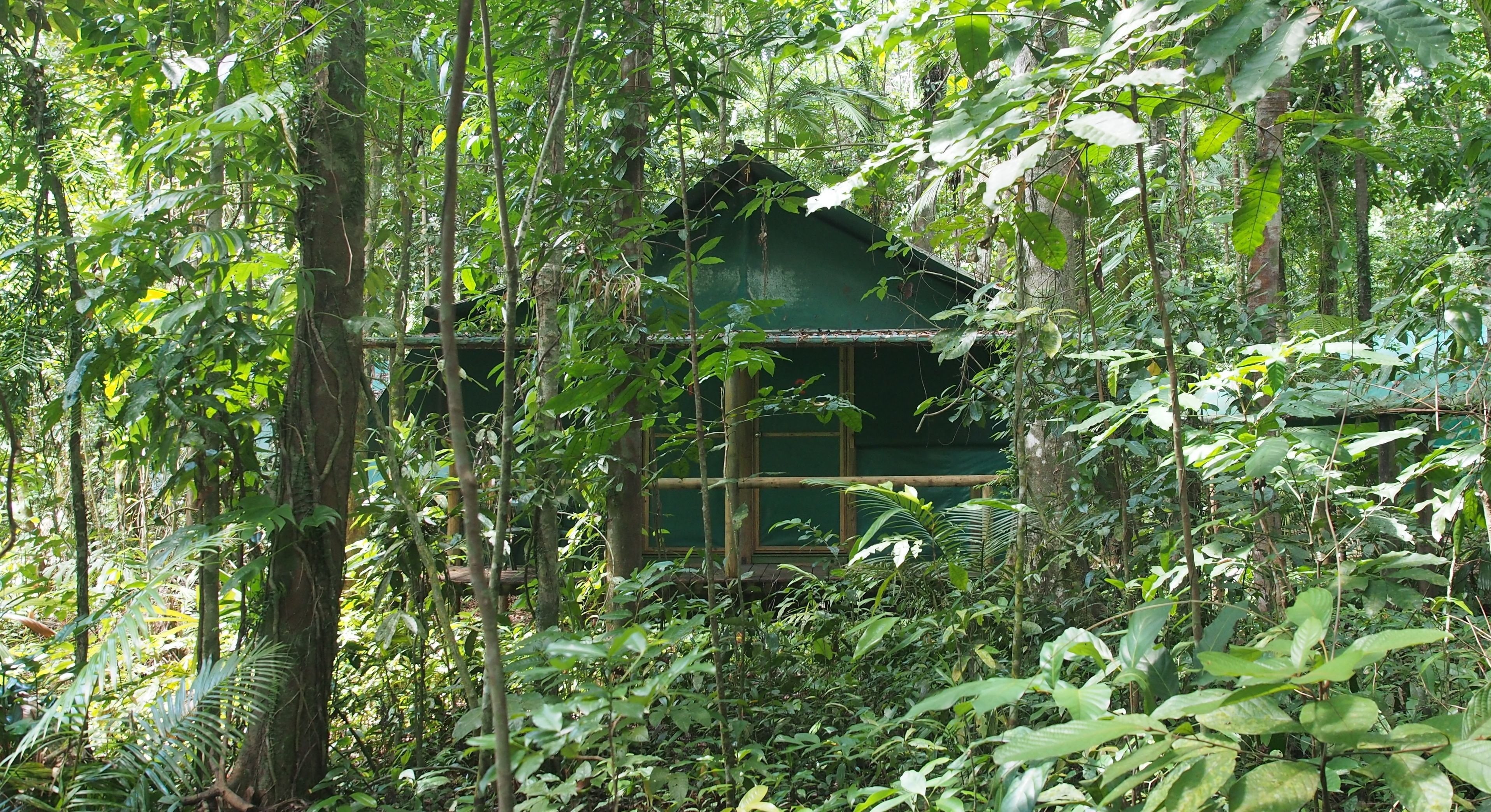 Tree House, salle de bains attenante (Tropical Cabin) | Extérieur