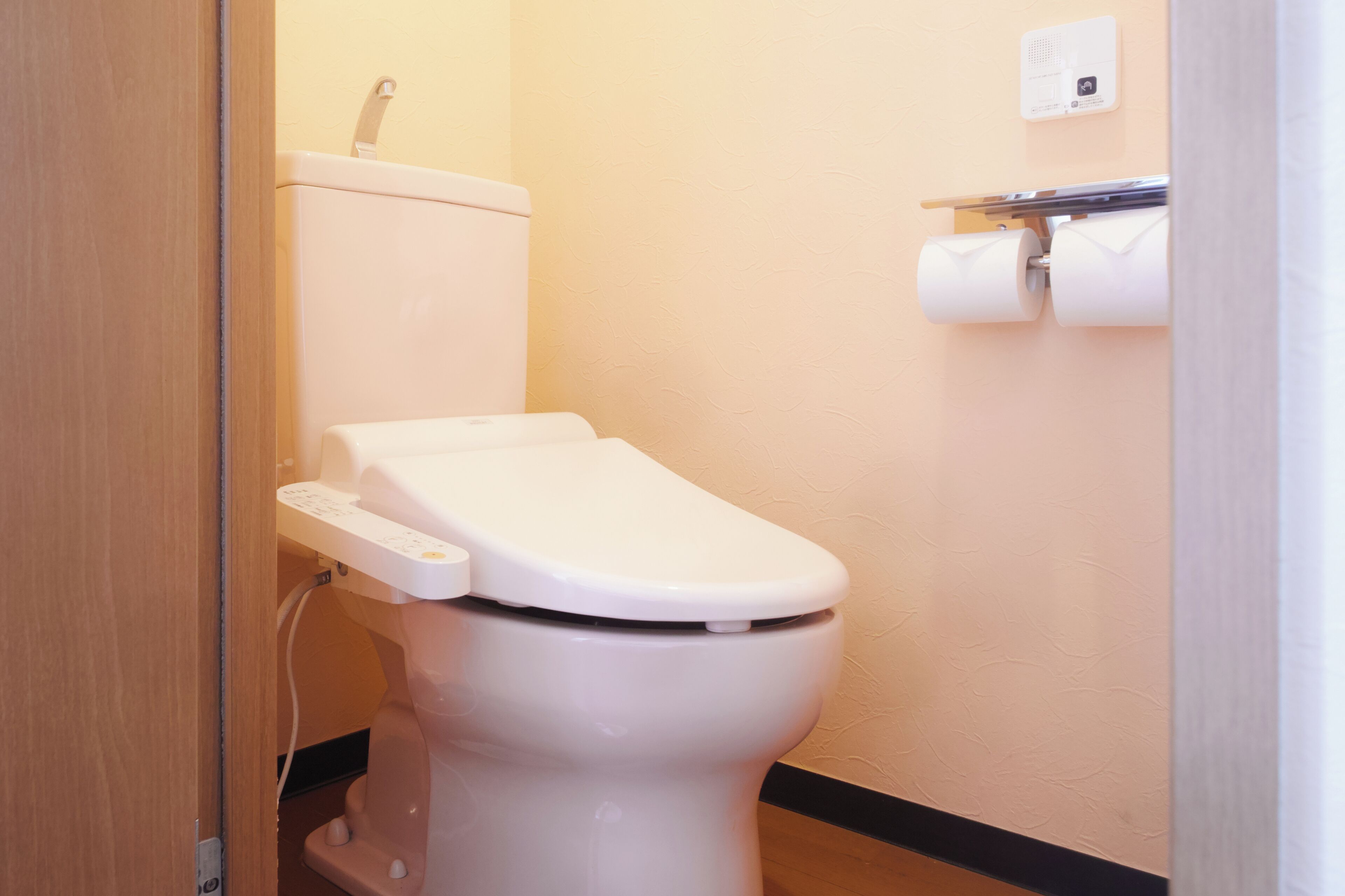Eine weiße Toilette mit Bedienfeld, Toilettenpapierhalter und Wandfluschtaste.