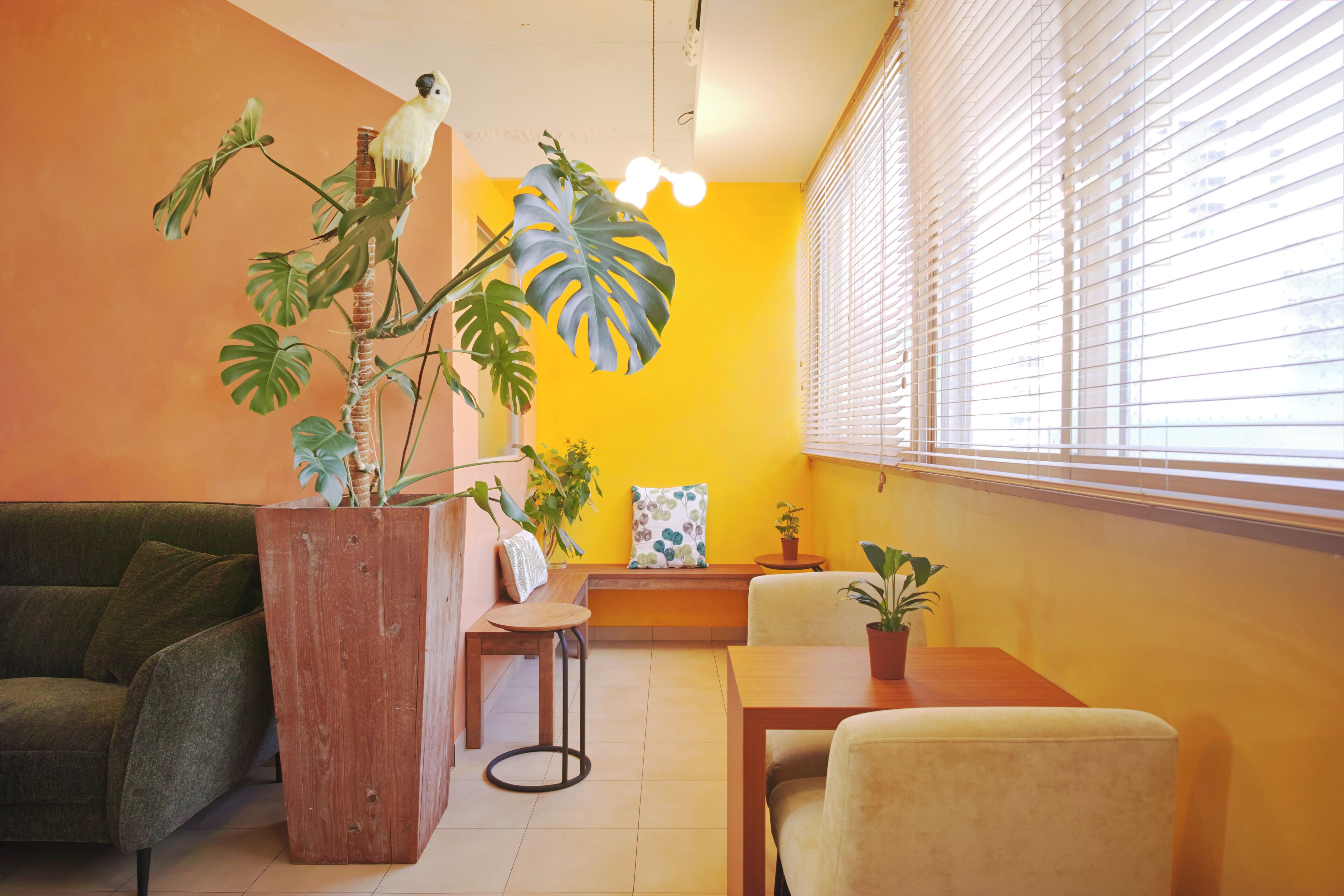 Foto - Hostel Casa Noda