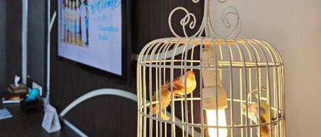 A birdcage with two birds, a wall-mounted TV, and a modern wall design.