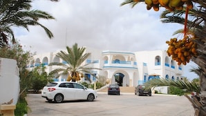 Unclassified image, 2 of 67, button - Dar Salem (Mezraia)