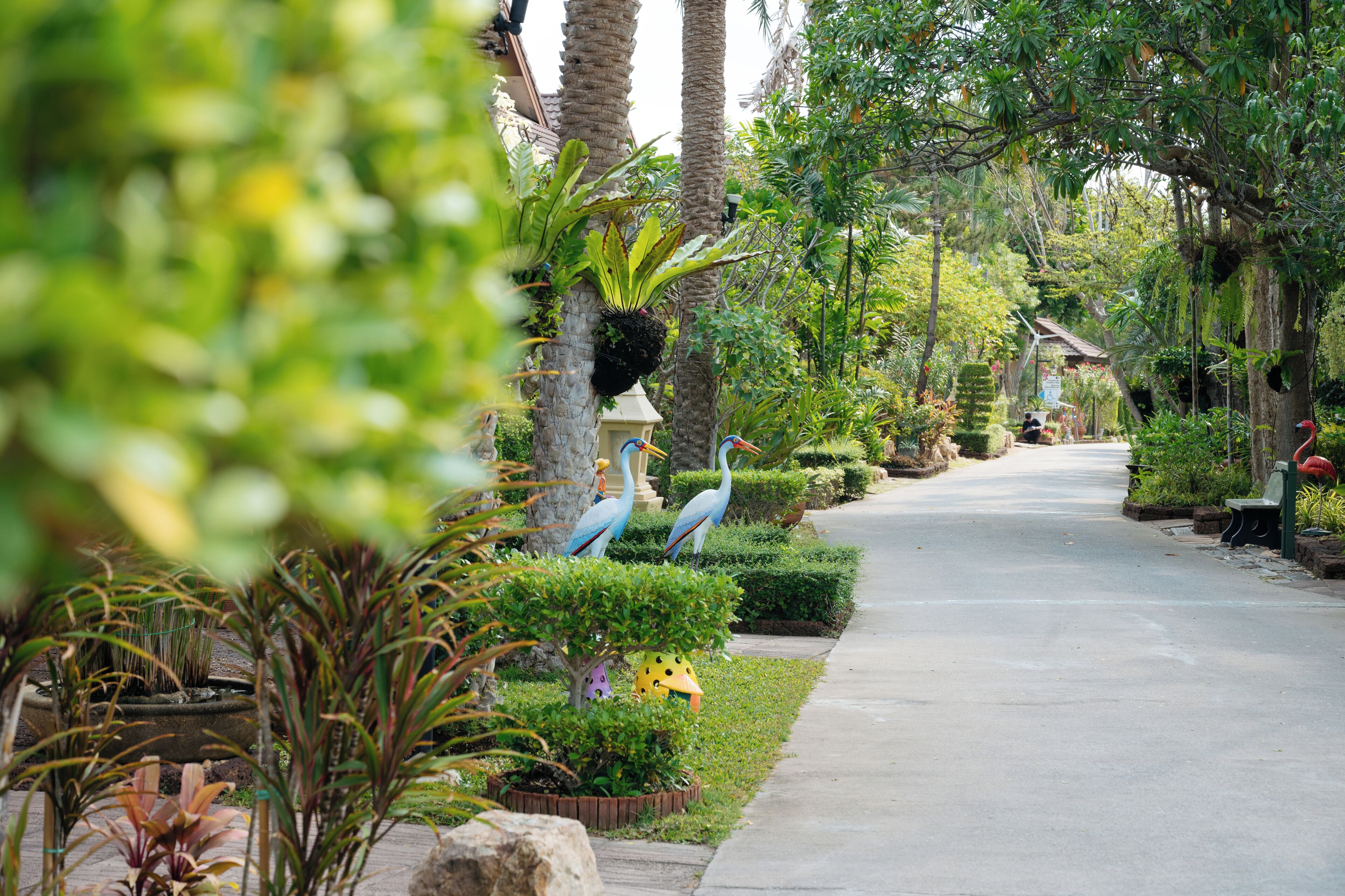 A pathway lined with trees and shrubs, leading to a building with a traditional architectural style.
