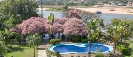 Piscine extérieure, parasols de plage, chaises longues