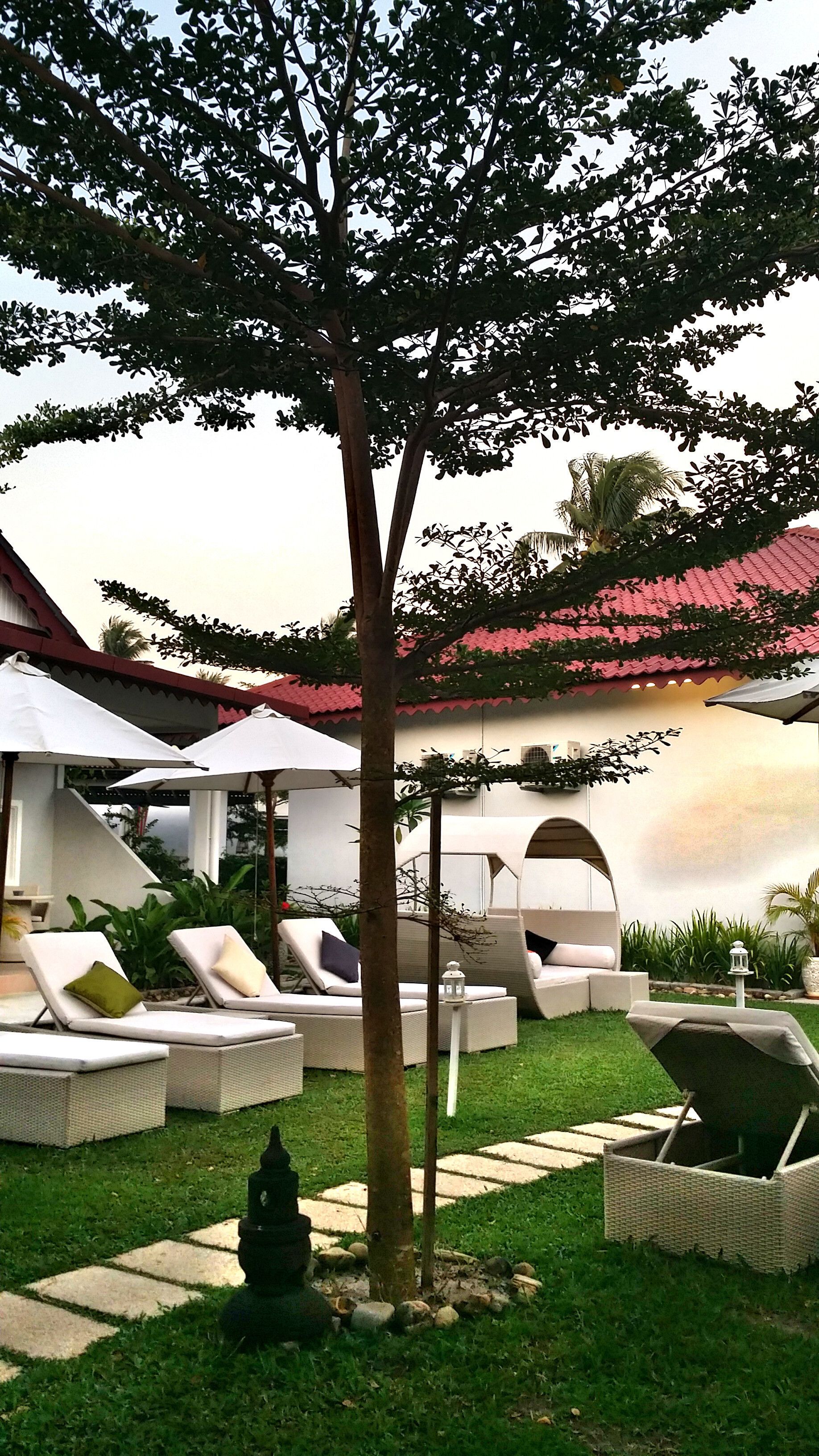 Accommodatievoorzieningen