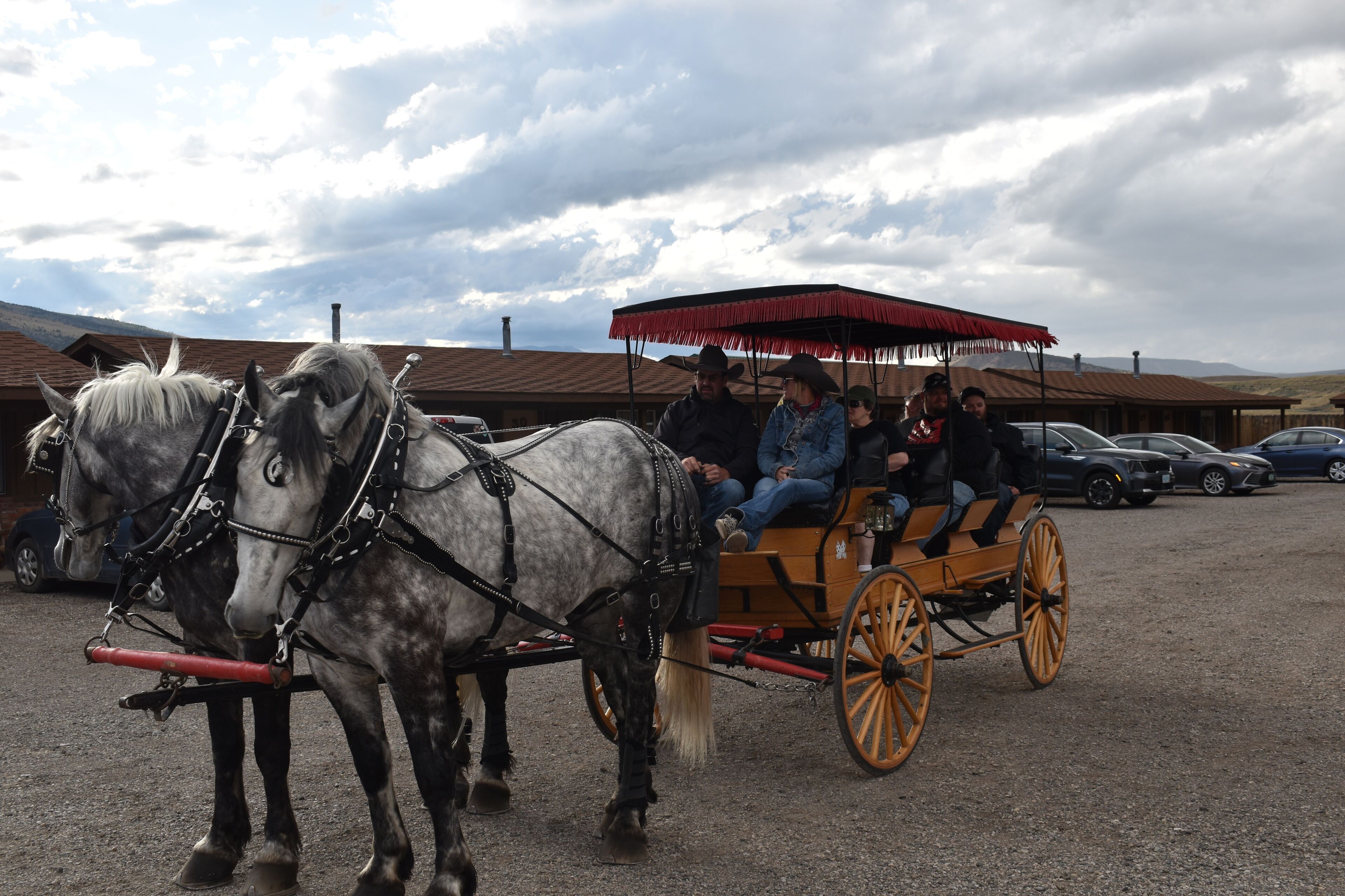 Een paard en wagen met passagiers, geparkeerd op een plek tussen auto's en gebouwen op de achtergrond.
