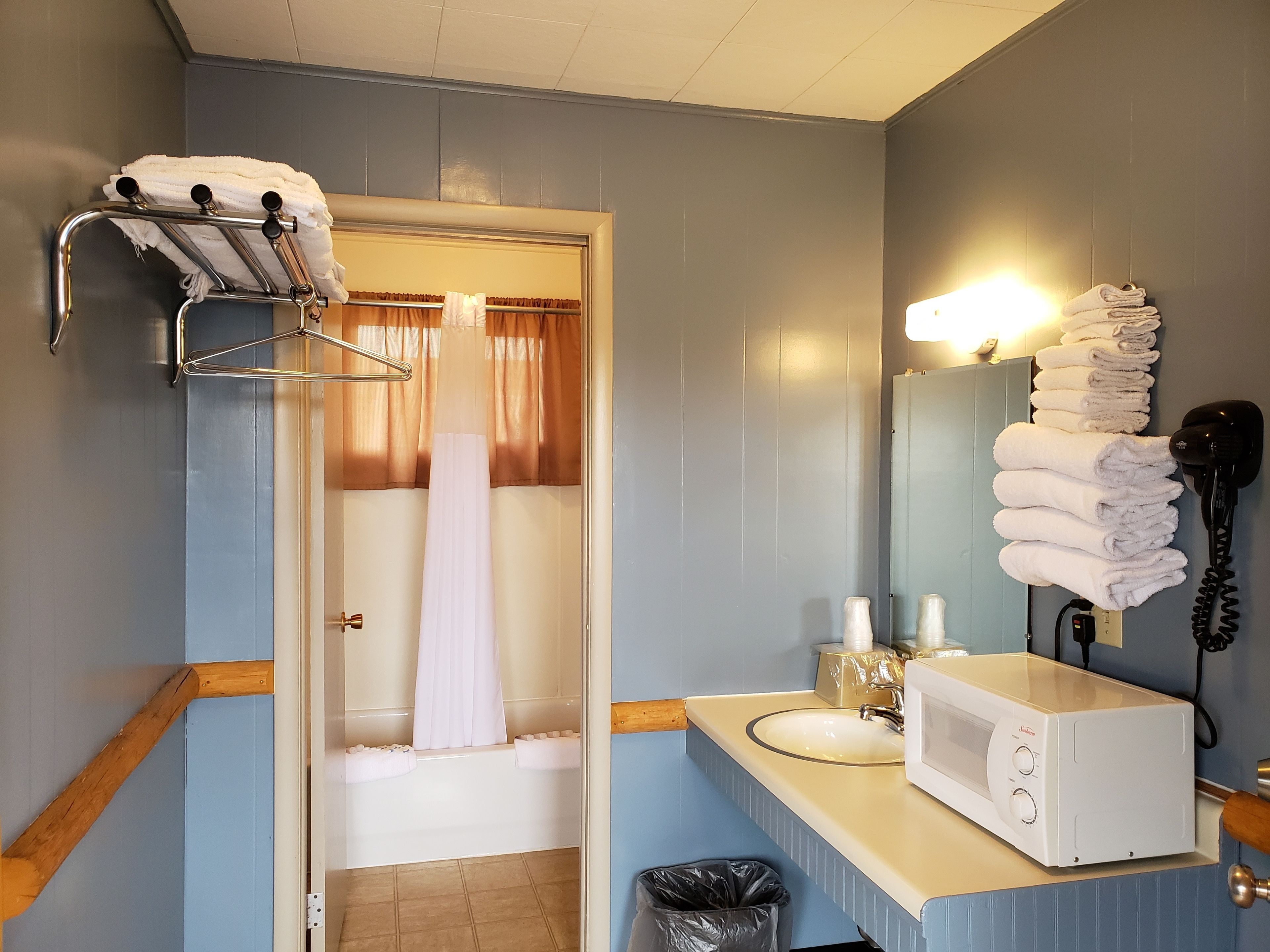 Une salle de bain avec une douche, un porte-serviettes, un sèche-cheveux et un four à micro-ondes posé sur le comptoir.