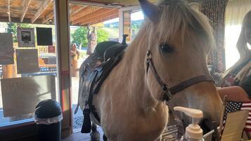A horse inside a stable with a wooden ceiling and a door leading outside.