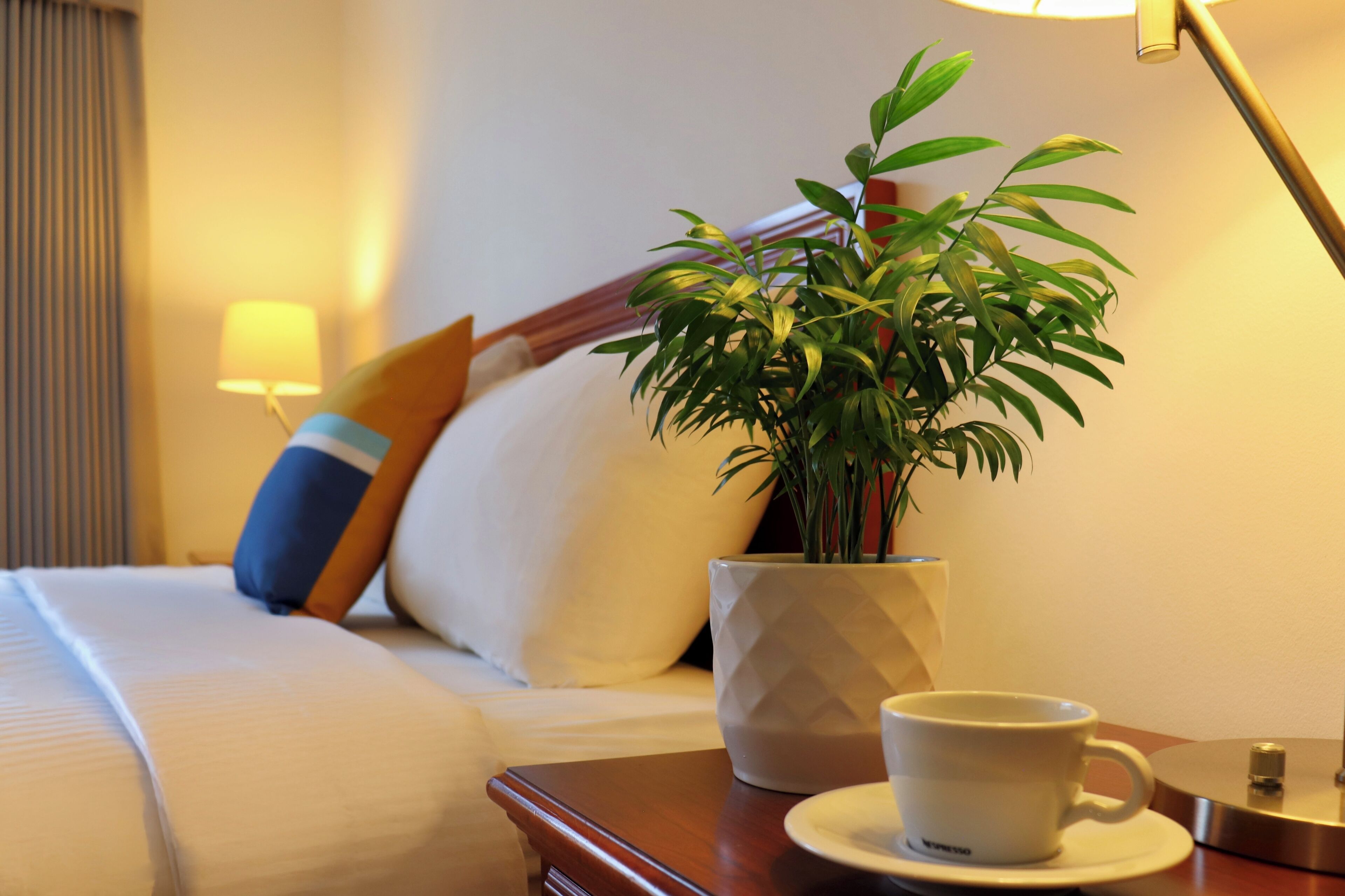 Foto - August Jack Inn