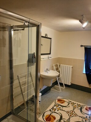 Une salle de bain avec une douche à parois de verre, un lavabo, un miroir et un radiateur.