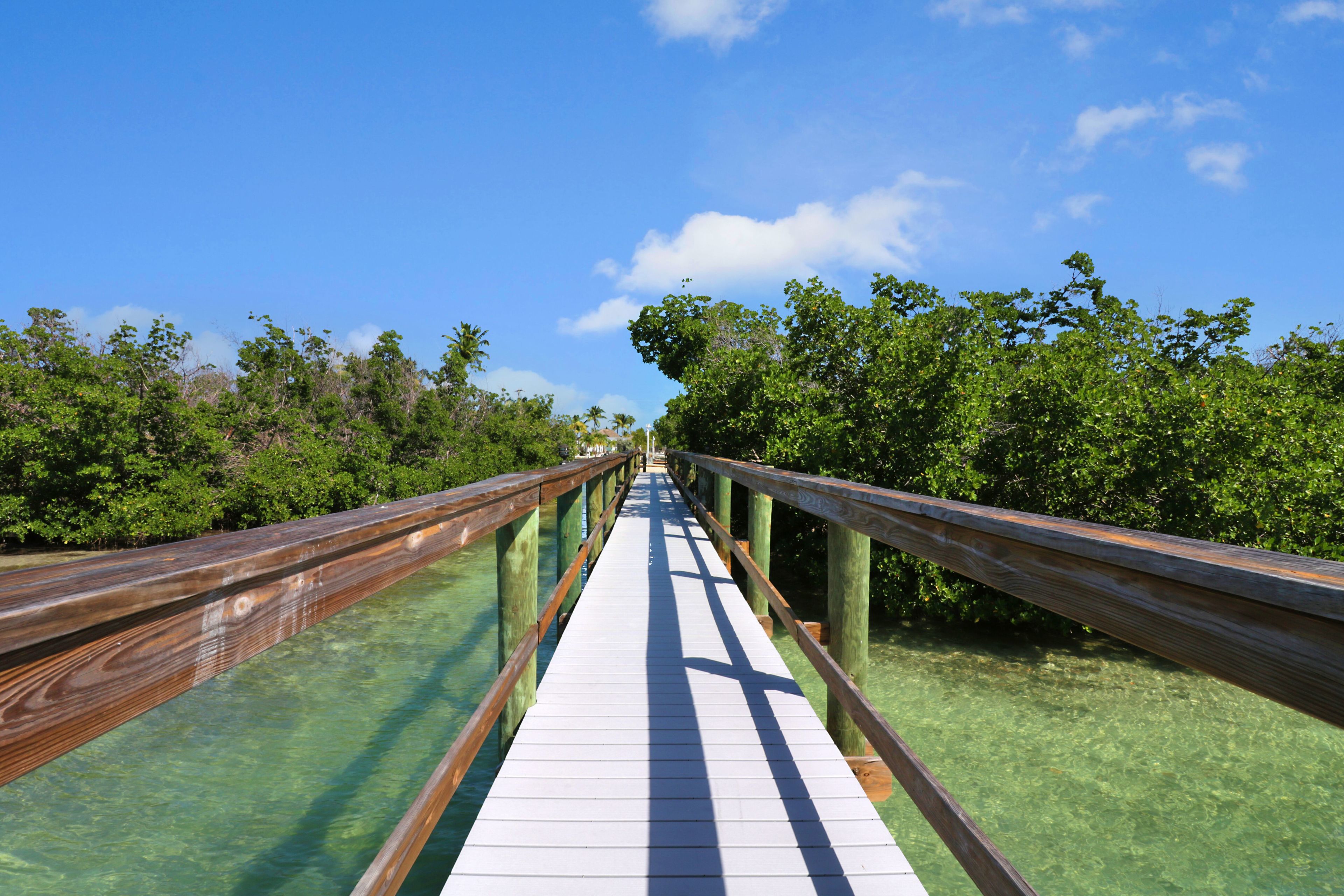 A wooden boardwalk over clear water surrounded by lush greenery.