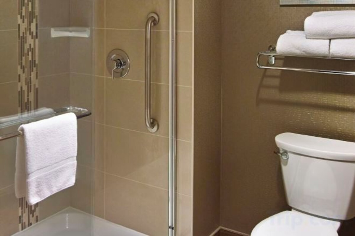 Accessible Premium King Studio Suite