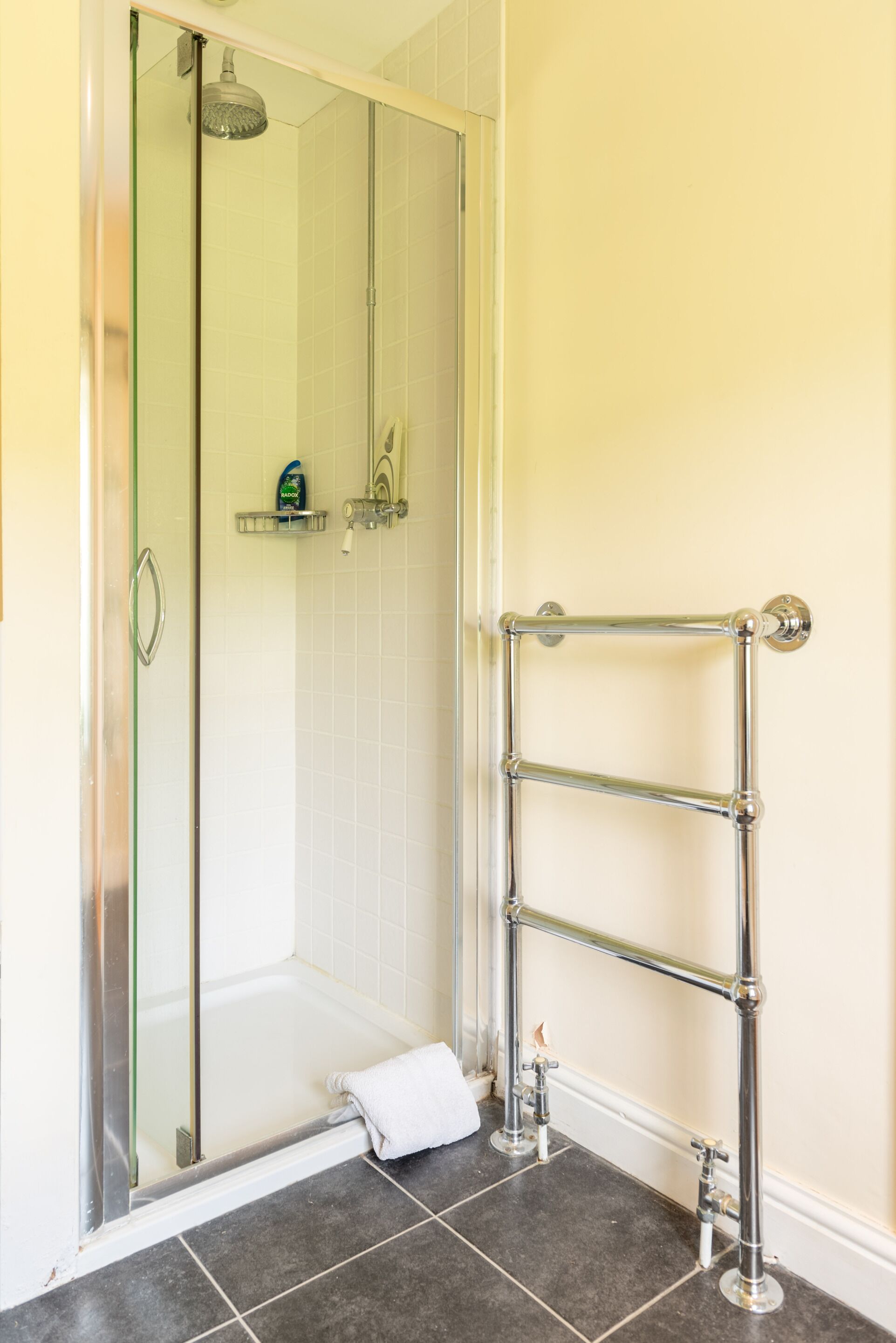 A bathroom with a glass shower enclosure, a towel rack, and a shelf with toiletries.