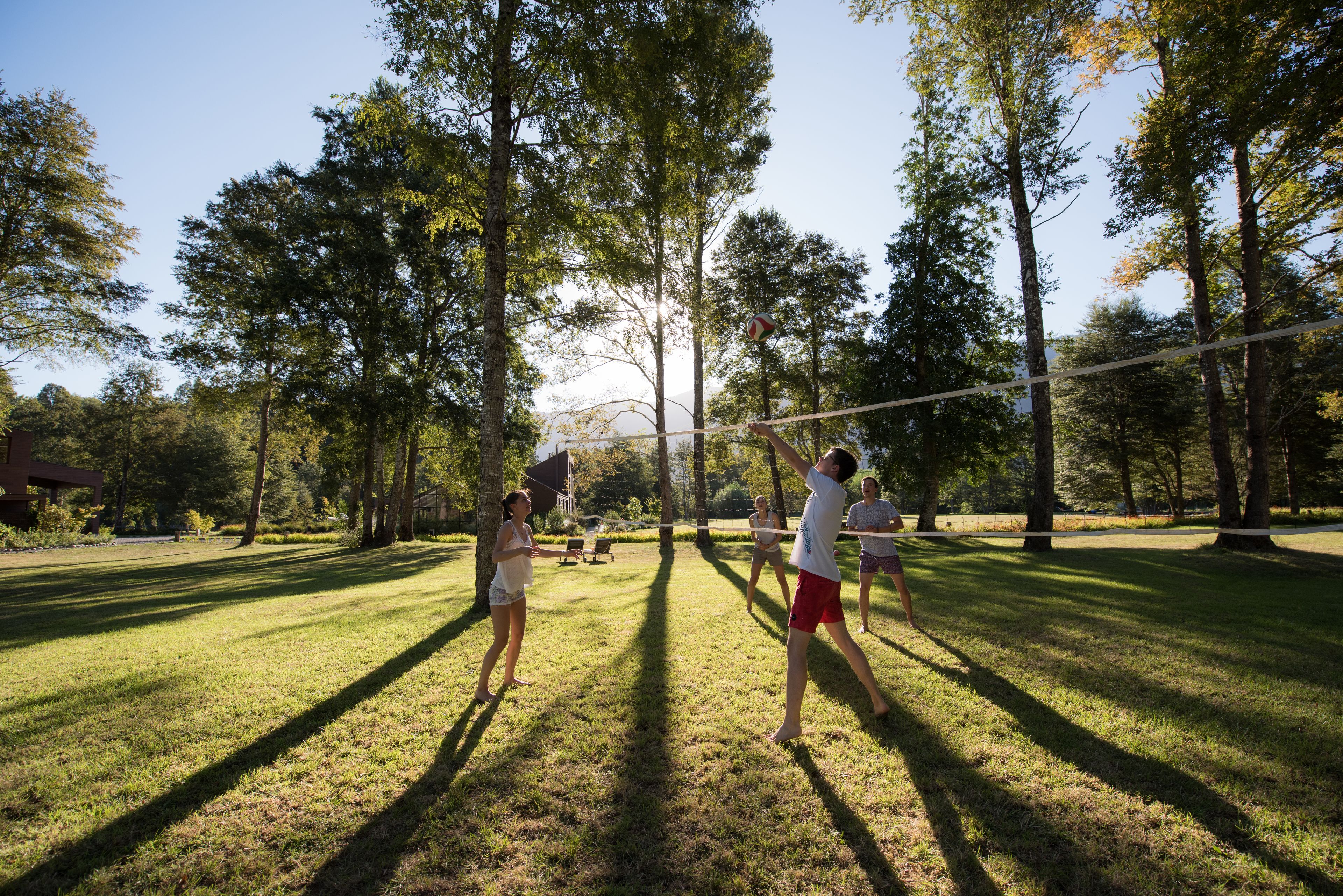 A group of people playing volleyball in a park with trees and grass.