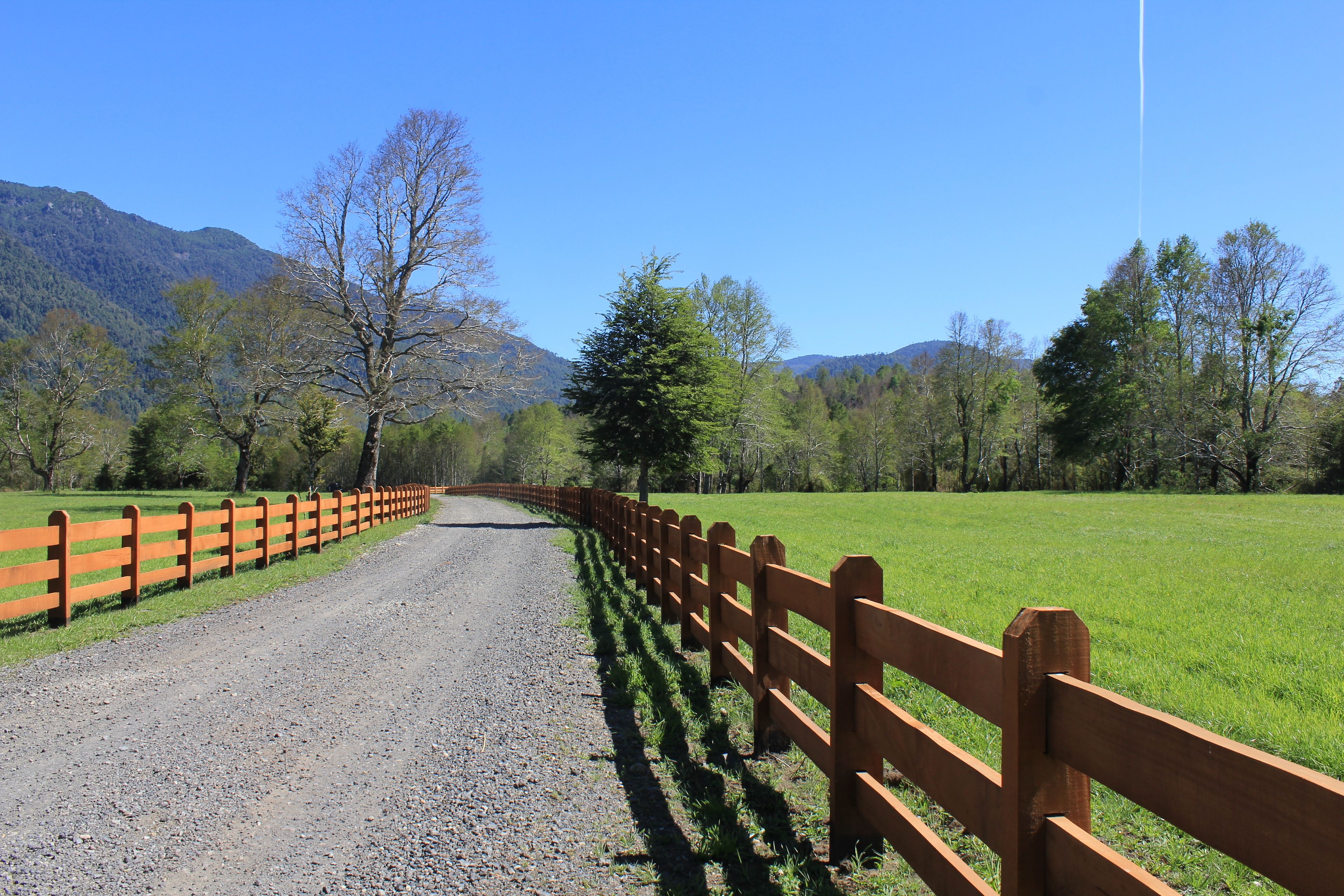 A gravel road flanked by wooden fences, leading through a green field with trees and mountains in the background.