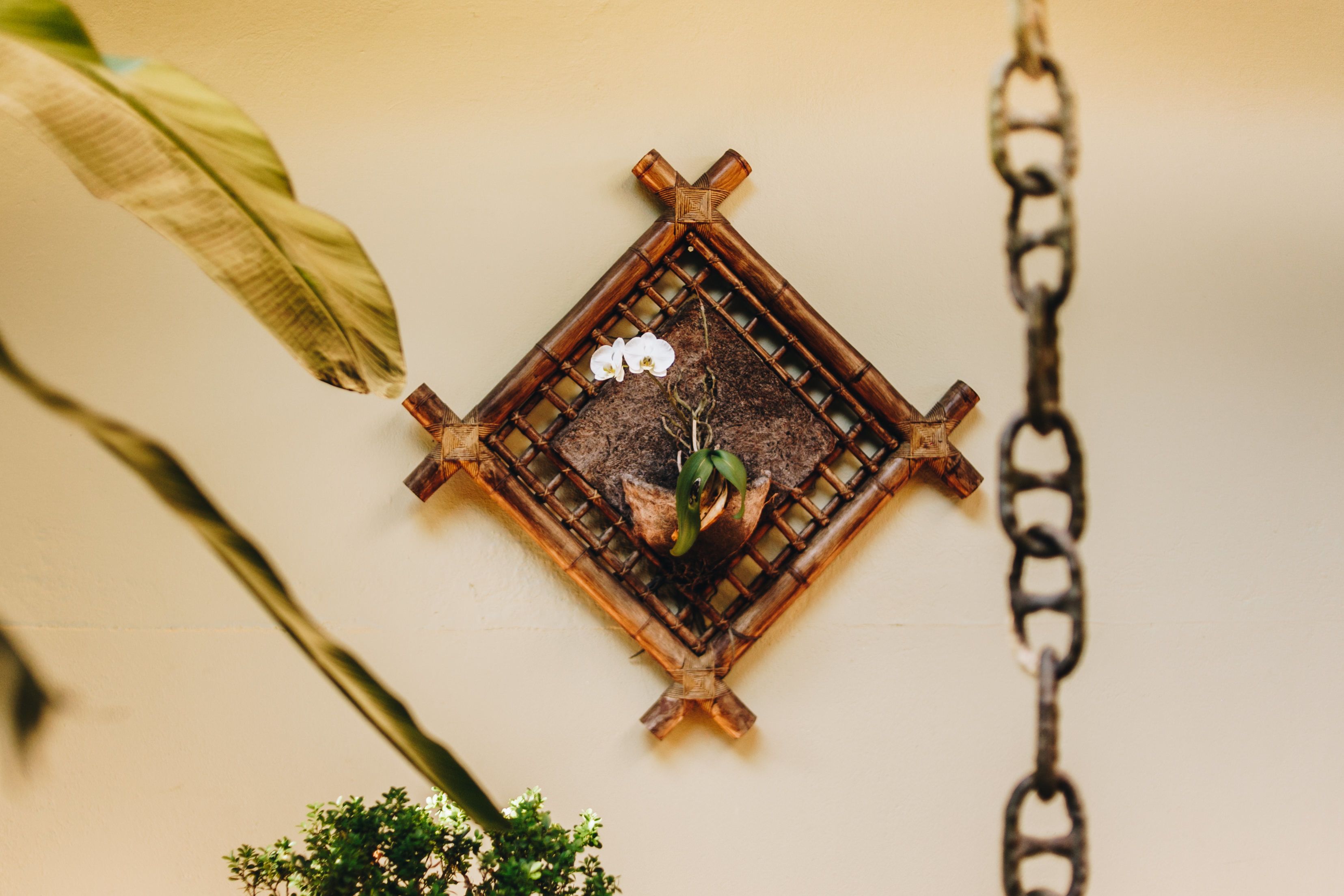 En upphängd blomkruka av bambu med en liten växt och en vit orkidé.