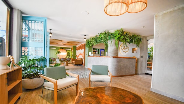 Un vestíbulo amplio con una mesa de recepción, sillas de madera, una gran mesa baja de madera y plantas en macetas.