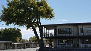 Een motel met een gebouw van twee verdiepingen, een overdekt terras en een grote boom ervoor.