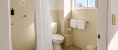 Un baño con ducha, inodoro y ventana.