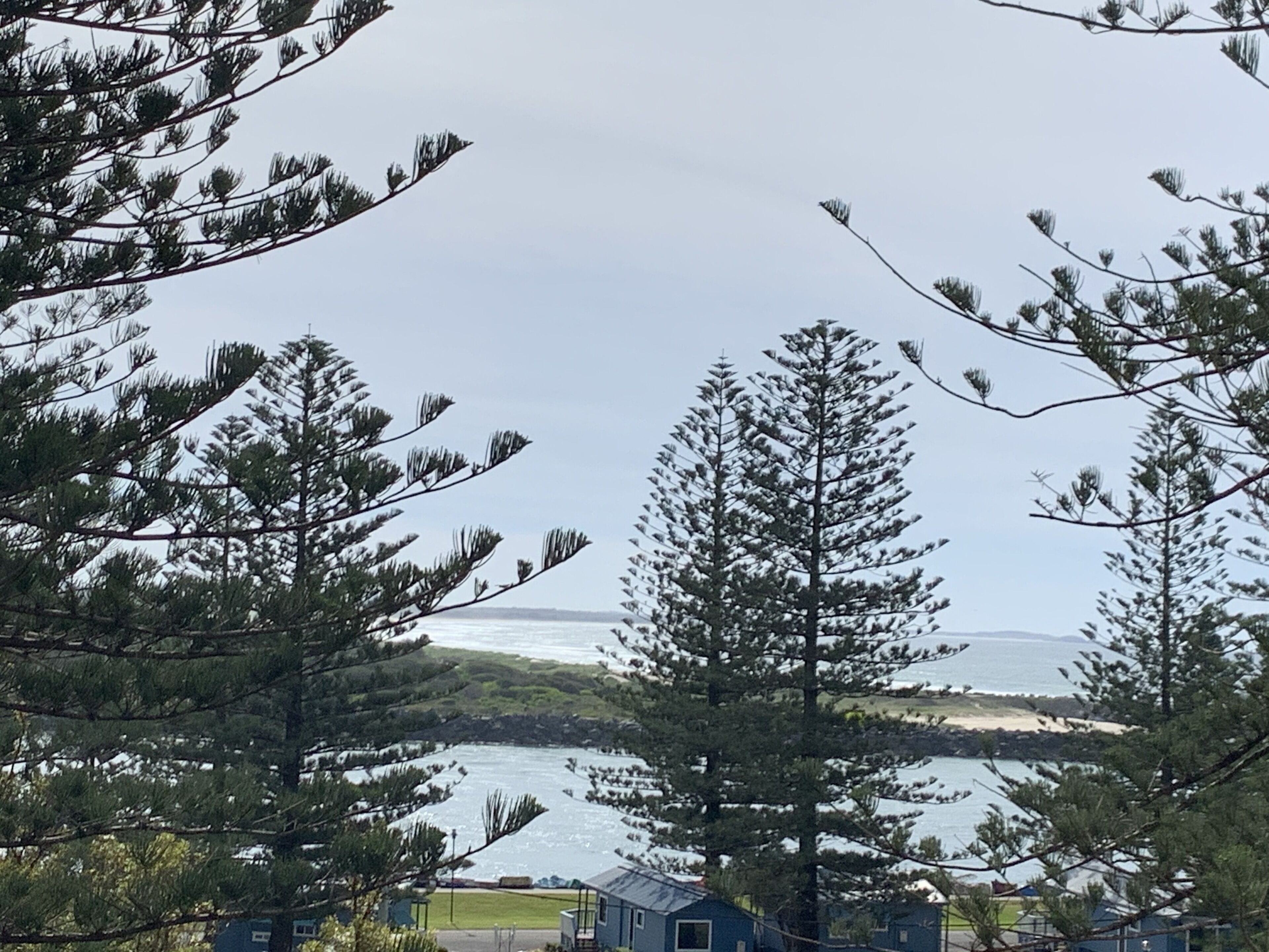 Executive Apartment, 3 Bedrooms | View from room