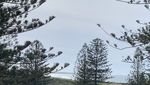 Un paysage côtier offrant une vue dégagée sur la mer, bordé de grands pins.