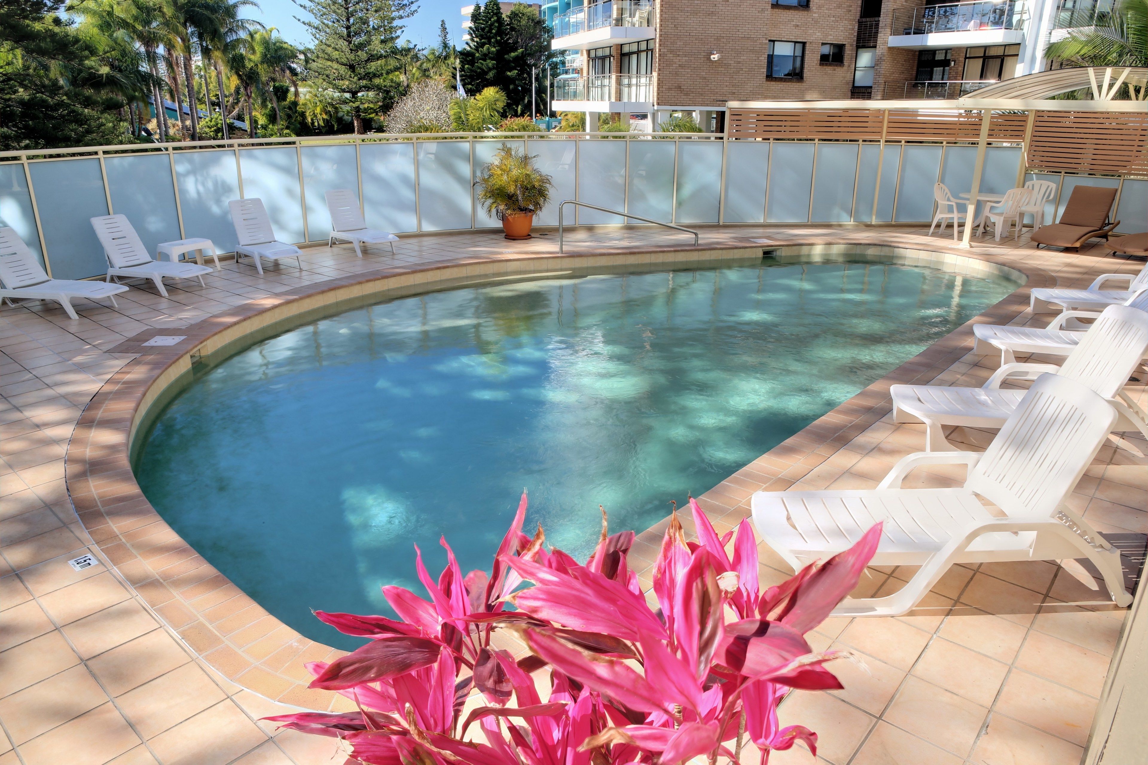A swimming pool with white lounge chairs and a potted plant.