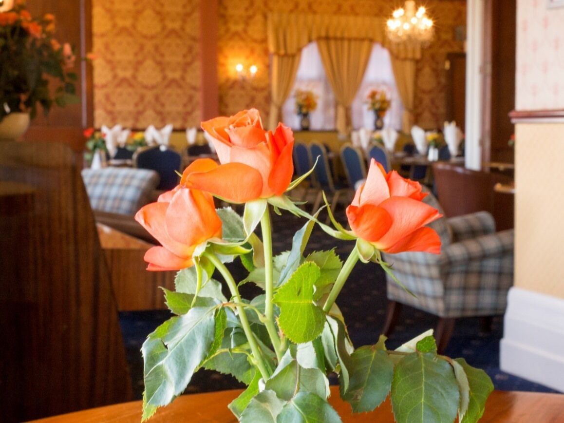 Ein Essbereich mit Tischen und Stühlen, eine Vase mit orangefarbenen Rosen und eine Wand mit Muster im Hintergrund.