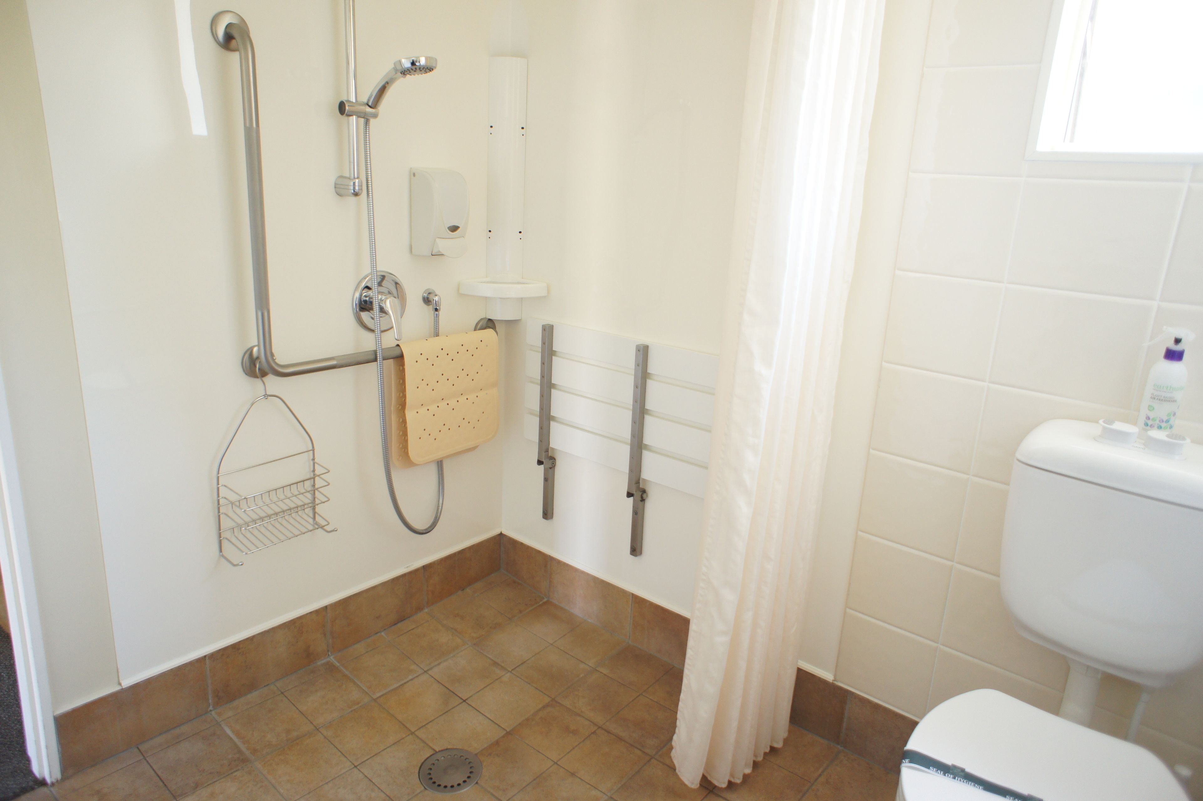 A bathroom with a shower, toilet, and handrails.