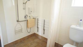 A bathroom with a shower, toilet, and handrails.