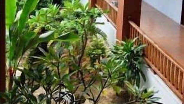 Exterior - Aloha Apartment (Koh Samui)