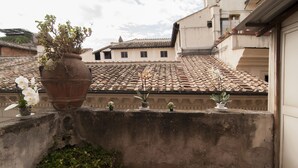 Superior Double Room, Terrace | View from room - Hotel Arenula (Rome)