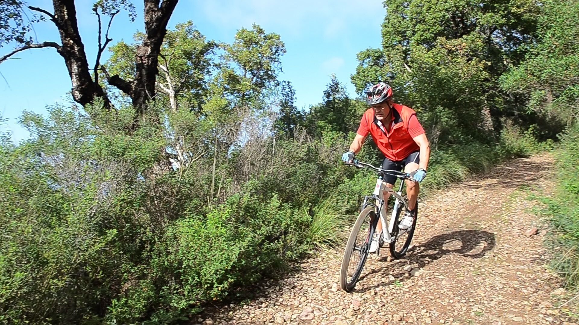 Una persona montando una bicicleta de montaña sobre un sendero de grava rodeado de vegetación.