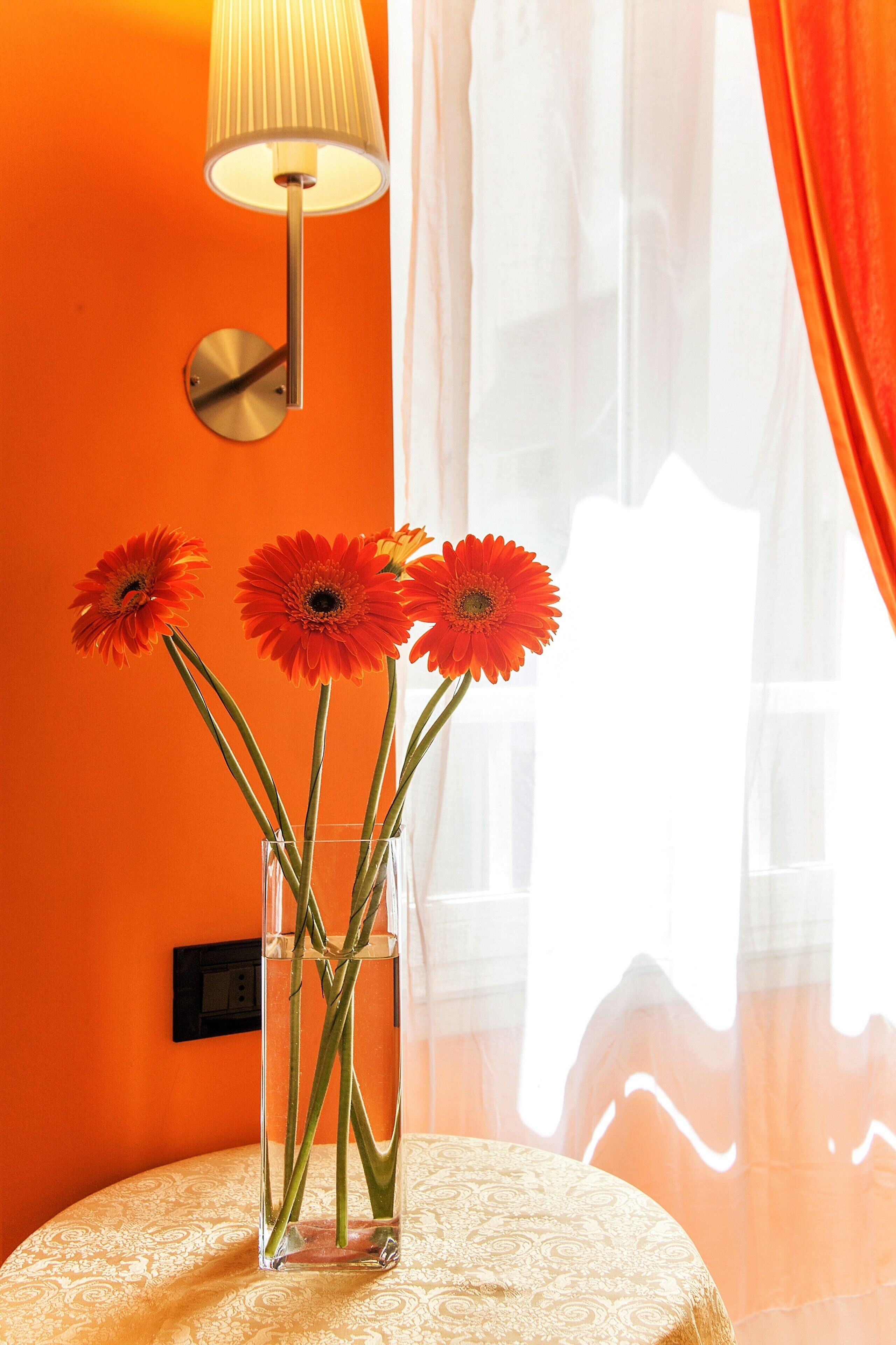 premium bedding, down duvets, memory-foam beds, minibar